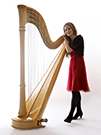 This is a small picture of the Harpist from the European Chamber Ensemble