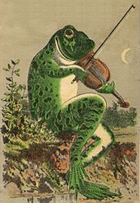 This is a picture of a frog playing a violin
